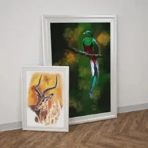 Portfolio d'artiste et designer