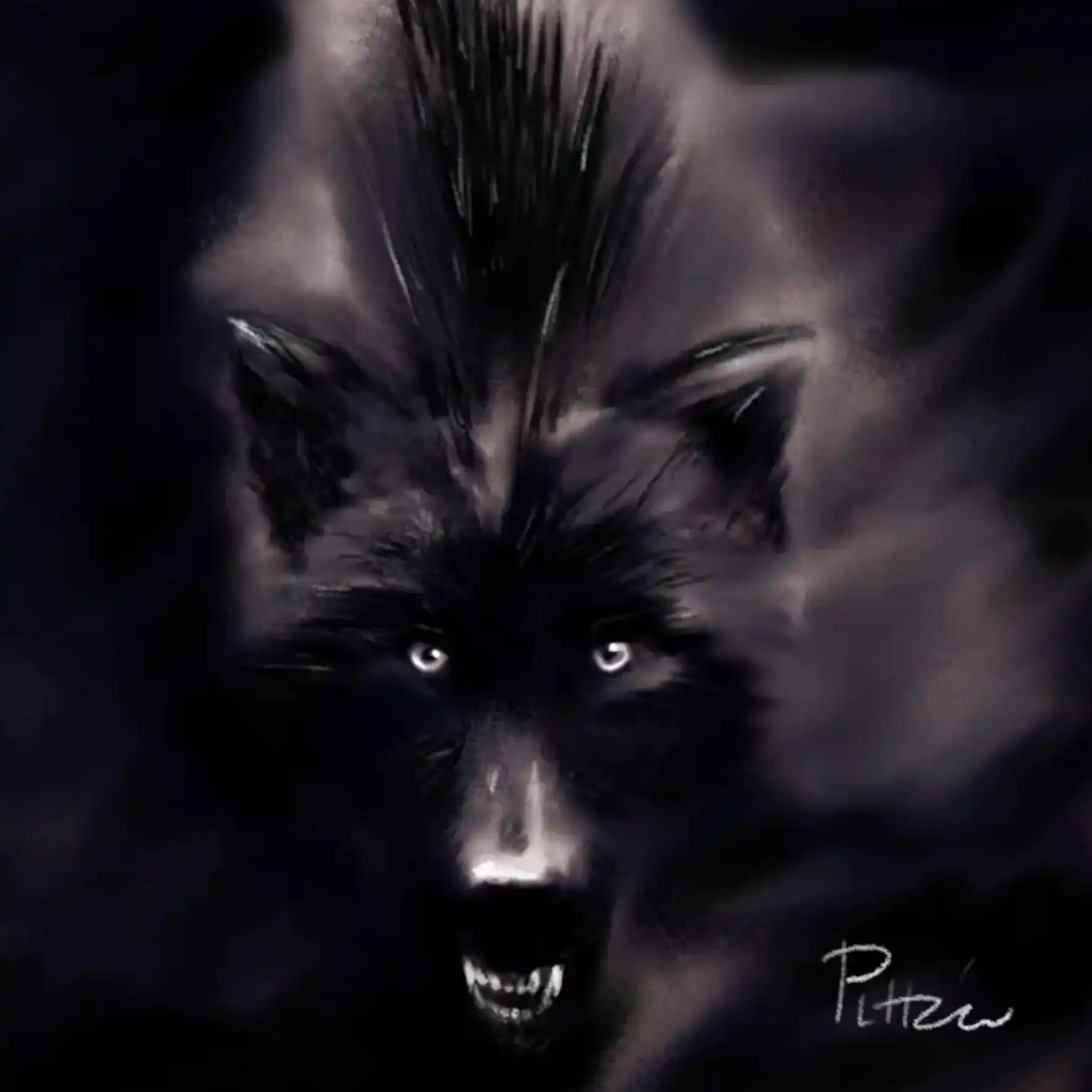 Loup, d’après photo