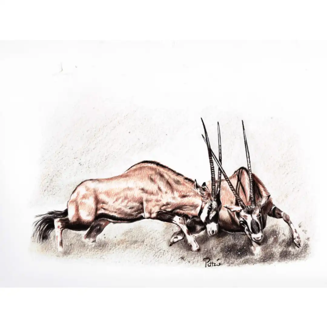 Oryx, d’après photo