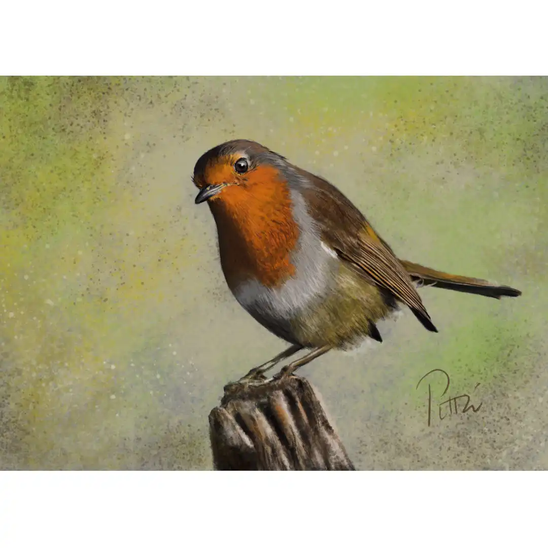 Rouge-gorge d’après photo